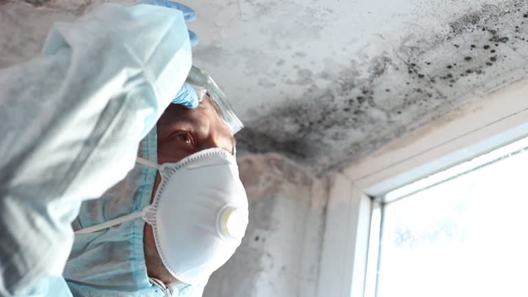 Best Emergency Mold Remediation  in Pasco, WA